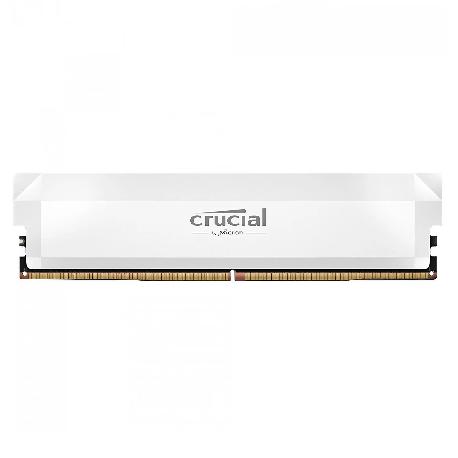 Memória RAM Crucial Pro OC 16GB DDR5 6400 MHz - CP16G64C38U5W