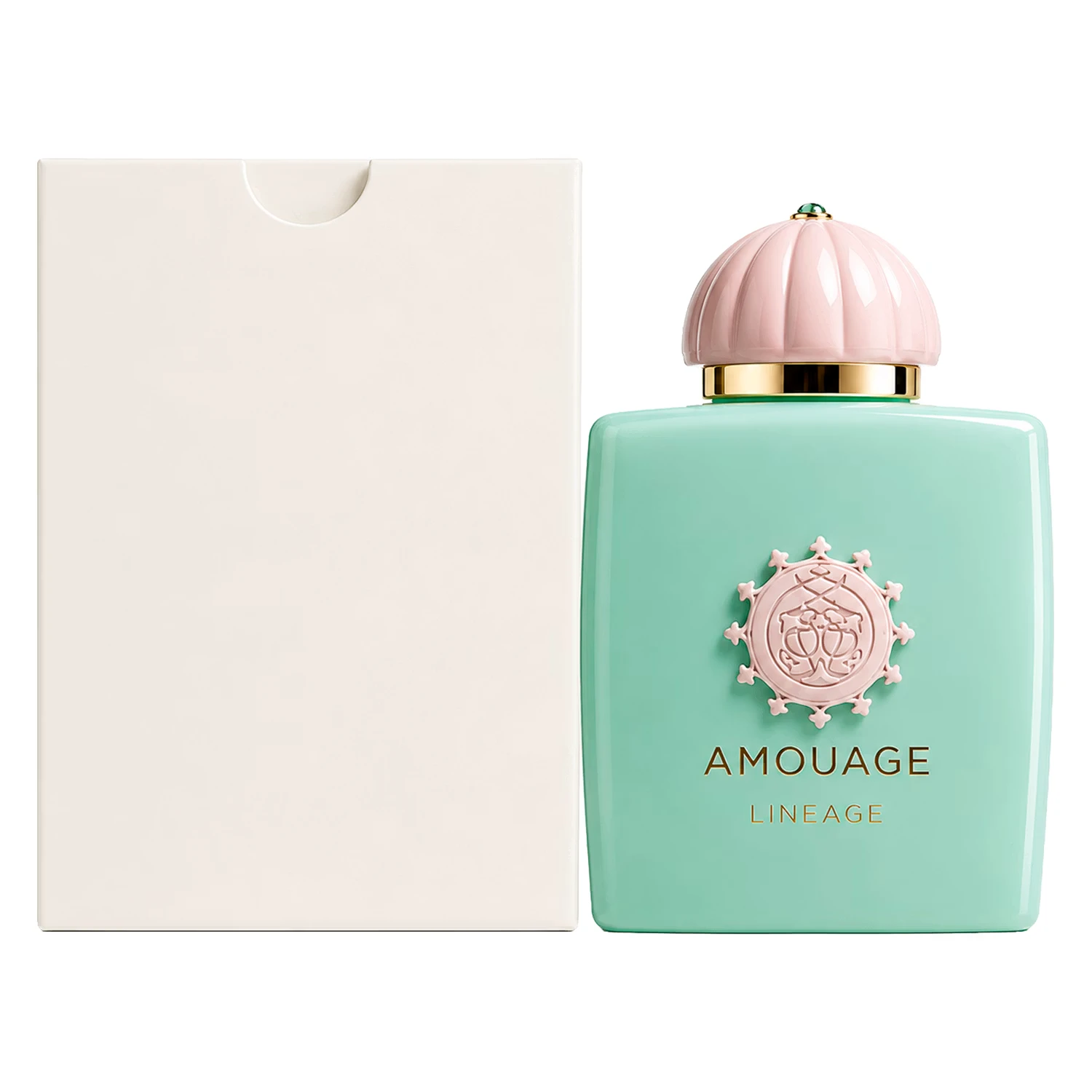 Perfume Amouage Lineage Eau de Parfum Unissex 100ml