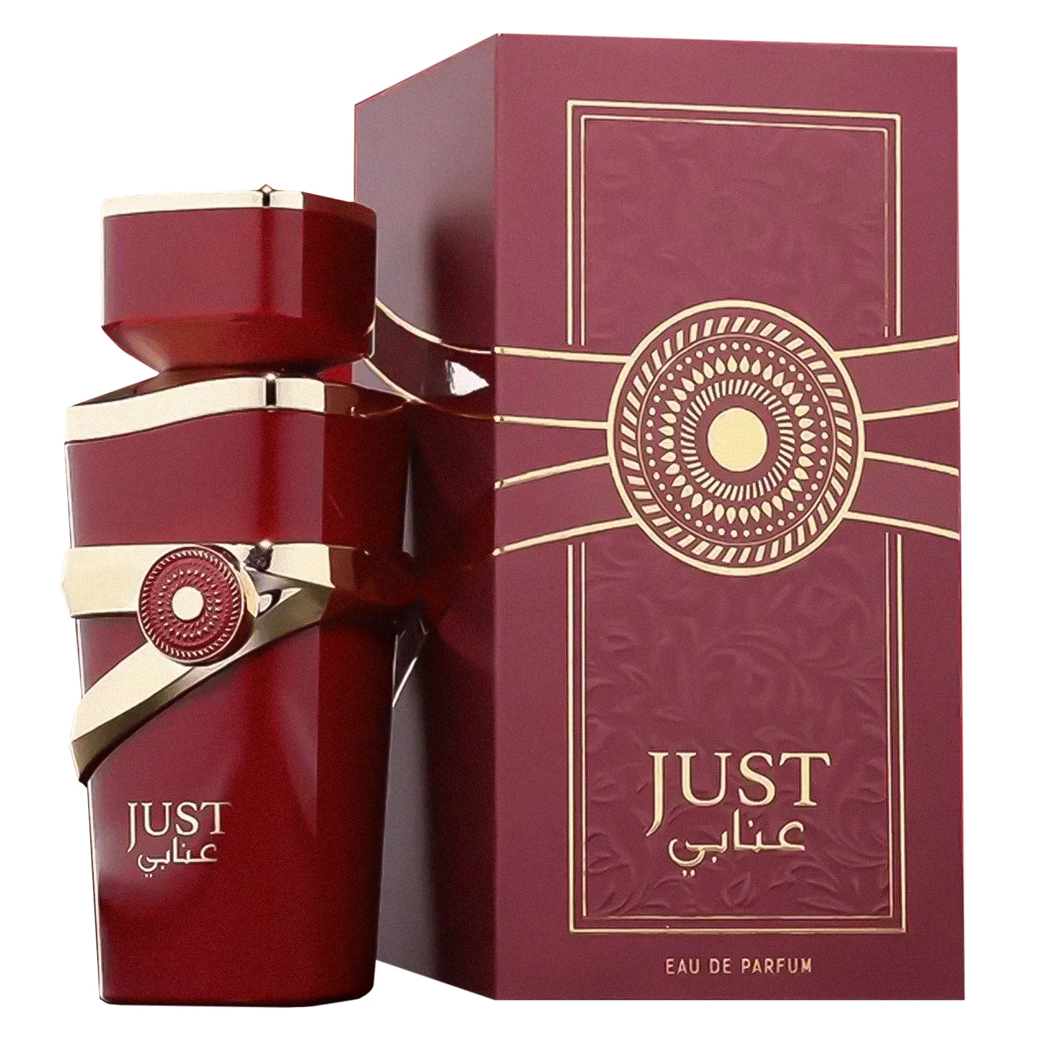 Perfume Fragrance World Just Anabi Eau de Parfum Feminino 100ml